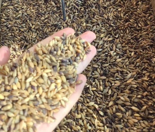 Gurez Barley (Yo) – 1kg