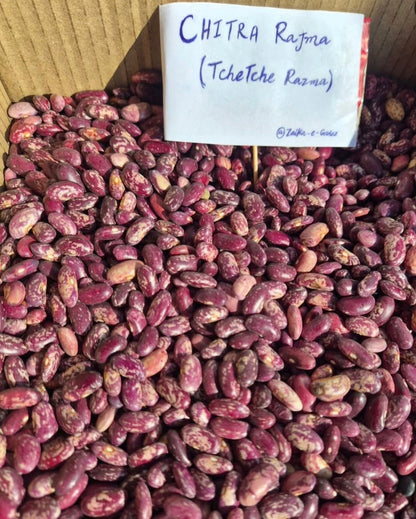 Gurez Chitra Rajma (Tche Tche Razma)