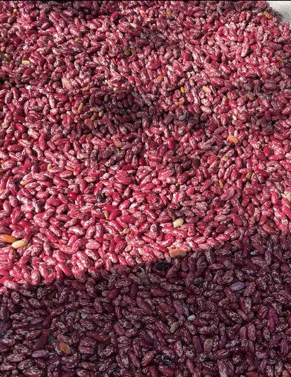 Gurez Chitra Rajma (Tche Tche Razma)