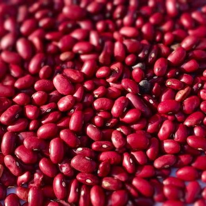 Gurez Red Rajma (Lolai Razma) – 500g